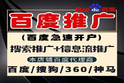某电商平台的SEM投放全流程案例